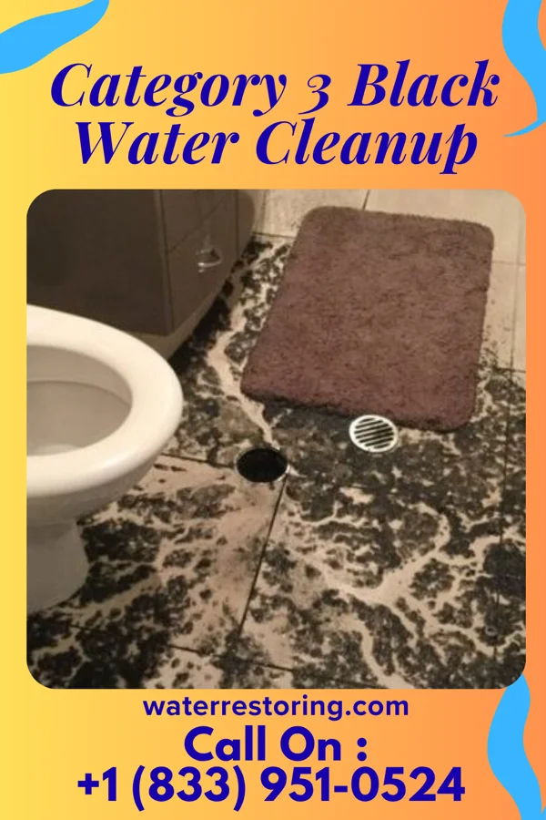 Category 3 Black Water Cleanup in New Square, NY