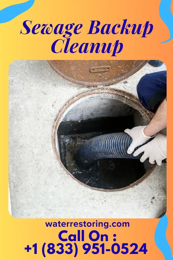 Sewage Backup Cleanup in New Square, NY