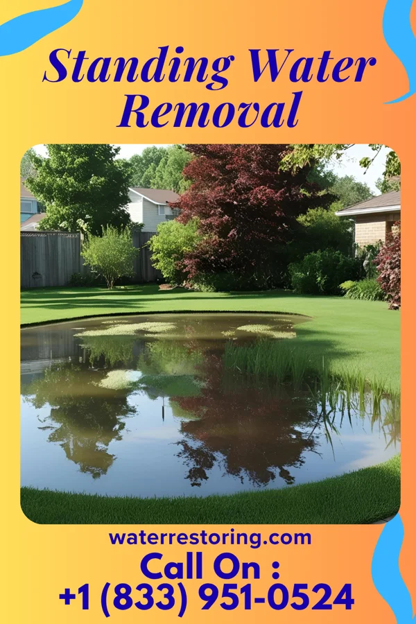 Standing Water Removal in New Square, NY